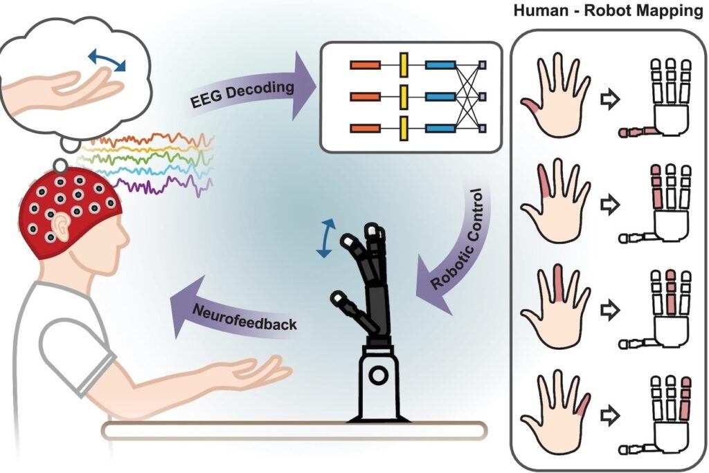 worlds-first-robotic-hand-bends-fingers-just-by-thought-1-1024x684-1 دست رباتیک
